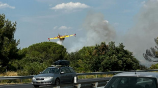 Incendie dans l'Hérault: l'autoroute A9 fermée dans les deux sens entre Sète et Agde