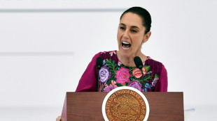 Presidenta de M&eacute;xico lanza plan para sustituir importaciones chinas
