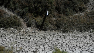 L'Espagne doit s'attendre &agrave; des s&eacute;cheresses de plus en plus "fr&eacute;quentes et graves", alerte un rapport