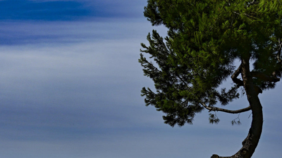 Inps, a dicembre spesa per l'Adi a Napoli supera quella dell'intero Nord