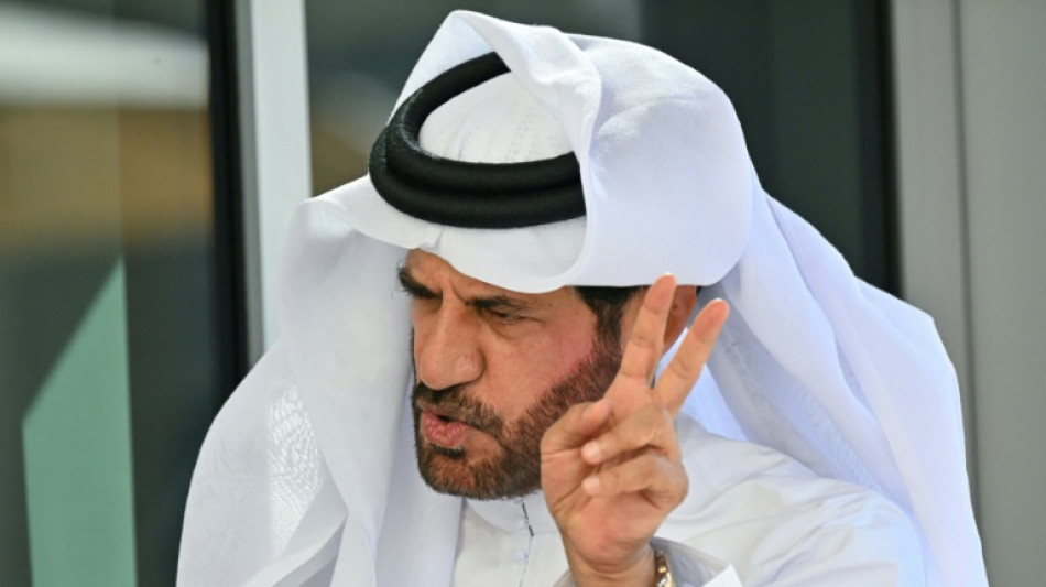 FIA deputy president resigns, attacks Ben Sulayem
