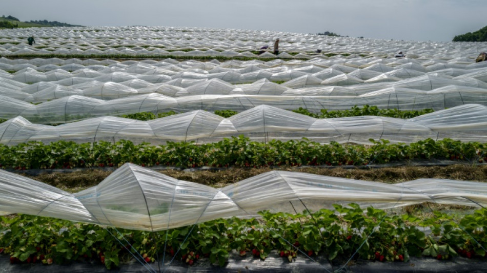 El sector privado de la eurozona desaceler&oacute; en mayo pero se mantiene s&oacute;lido