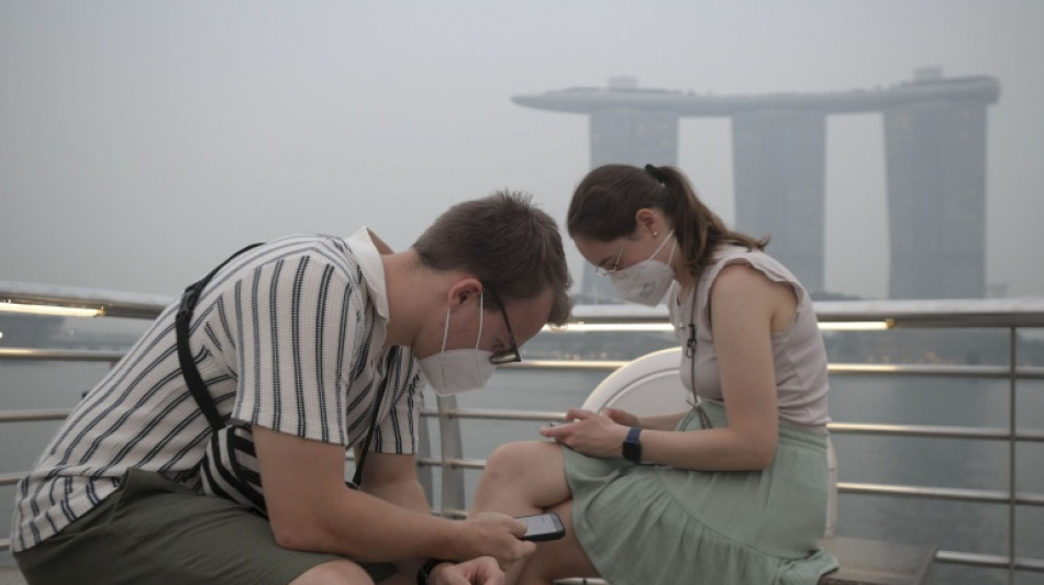 Incendies en Indon&eacute;sie : Singapour d&eacute;nonce des entreprises comme responsables