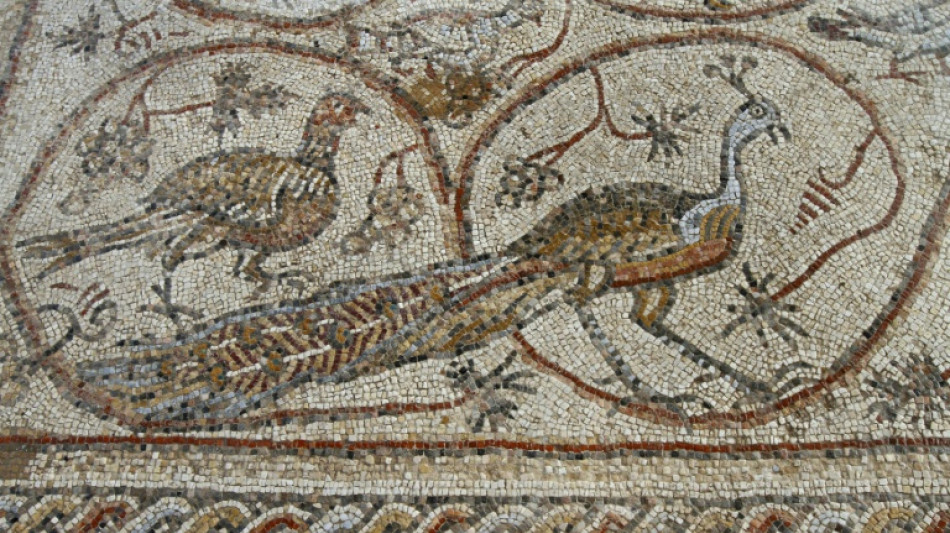 Un tesoro arqueológico es salvado in extremis de una operación militar israelí en Gaza