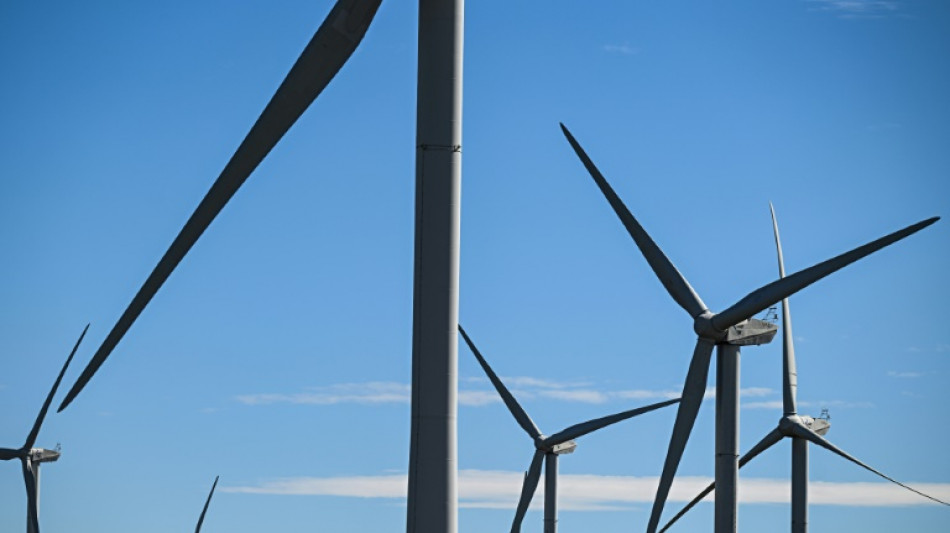 Energie: "des fili&egrave;res enti&egrave;res vont licencier" en cas de moratoire sur les renouvelables, selon Ferracci