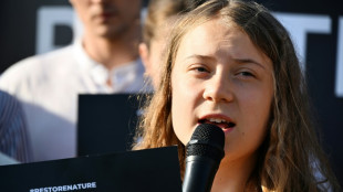 Greta Thunberg condamnée en Suède pour avoir désobéi à la police