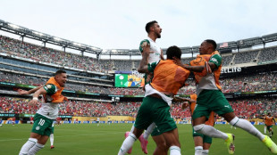 Palmeiras ease past Al Ahly in Club World Cup