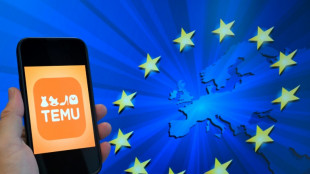 EU accuses online giant Temu over sale of 'illegal' products
