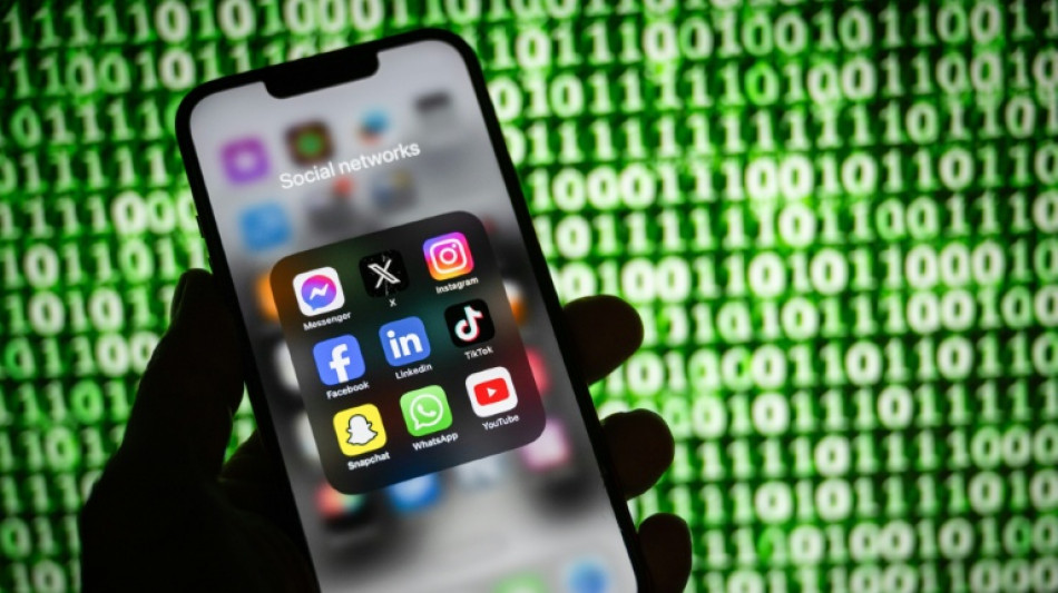 Droits voisins, aliments sucr&eacute;s pour nourrissons: carton plein pour la journ&eacute;e MoDem &agrave; l'Assembl&eacute;e