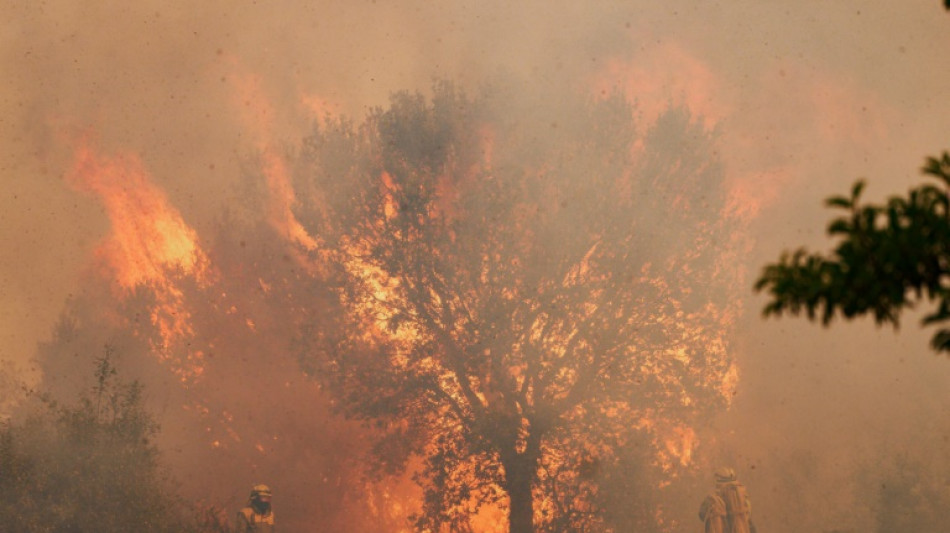 L'Espagne lutte contre des incendies aid&eacute;e par une baisse des temp&eacute;ratures