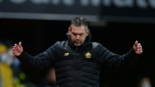 C1: face &agrave; Chelsea, Lille doit "&eacute;lever le curseur", dit Gourvennec &agrave; l'AFP