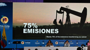 A Santa Marta, les pays africains d&eacute;fendent leur droit &agrave; forer du p&eacute;trole