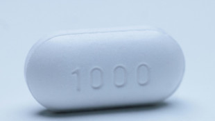 E.coli can turn plastic into painkillers, chemists discover