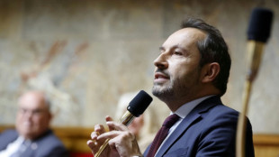 Vote de confiance: le RN veut une dissolution pour "donner une majorit&eacute; au pays", affirme Chenu