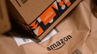 Marché du livre: Amazon évalue à 100 millions d'euros les frais de port payés par les Français