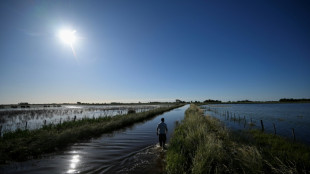 Pluies records, infrastructures en jachère: quand la pampa argentine se noie