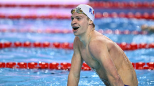 Natation - Le roi Léon bat un record historique en attendant une nouvelle couronne