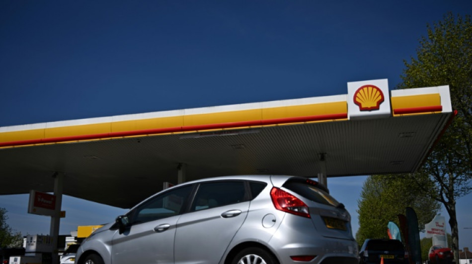 Shell suspende su asamblea general por la irrupci&oacute;n de activistas clim&aacute;ticos