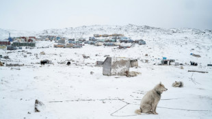 Bericht: D&auml;nemark schickte nach Trump-Drohung Elitetruppen nach Gr&ouml;nland