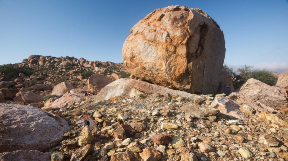 Rare earth production outside China 'major milestone'