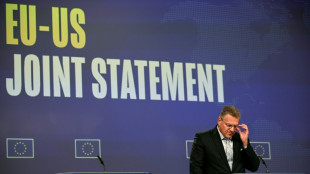 EU gets 15% US tariff for cars, but fails to get wine reprieve