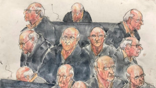 Procès Le Scouarnec: début du réquisitoire, un nouveau procès déjà évoqué