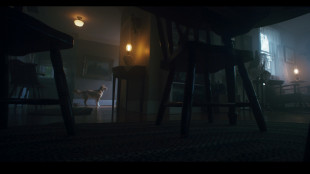 Alice nella Città, apre Good Boy di Ben Leonberg