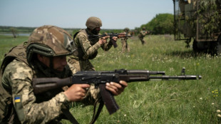 Studie: Weltweit gr&ouml;&szlig;te Zahl an Konflikten seit Ende des Zweiten Weltkriegs