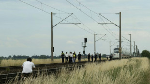 Verd&auml;chtiger nach Angriff in ICE in Bayern als psychisch krank eingestuft