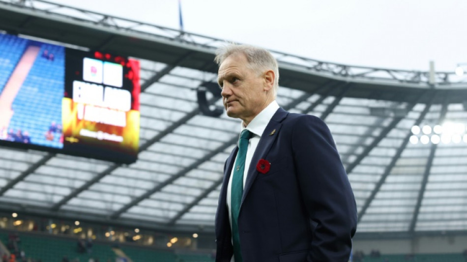 Wallabies confident but wary of wounded British and irish Lions 