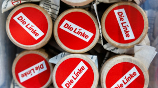 AfD-Umfragehoch: SPD-Politiker fordern von CDU neuen Umgang mit Linkspartei