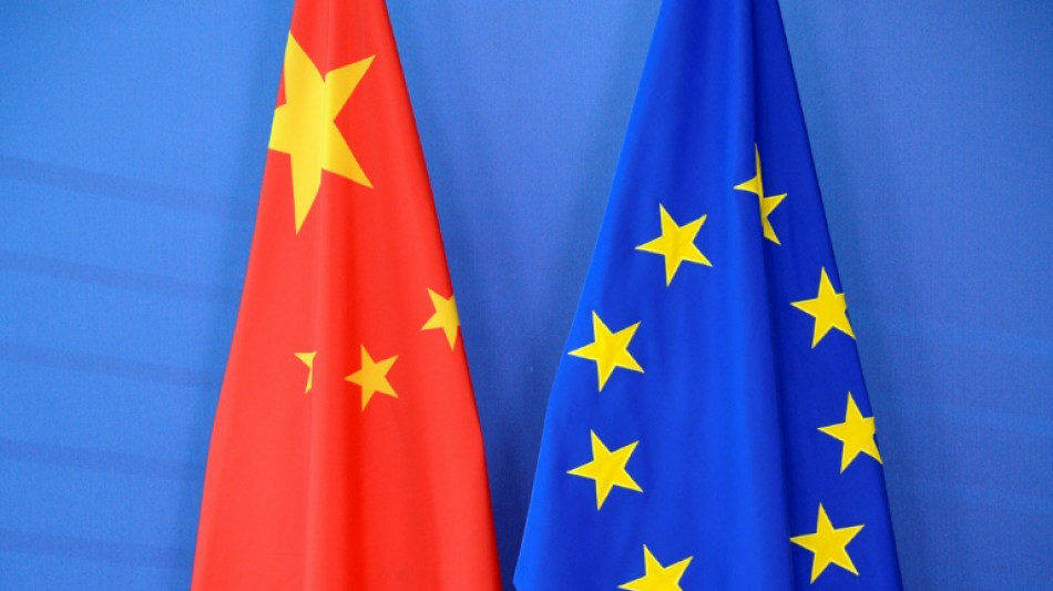 EU business lobby head says China rare earths snag persists