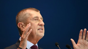 Tschechiens Ex-Regierungschef Babis muss in EU-Betrugsverfahren erneut vor Gericht