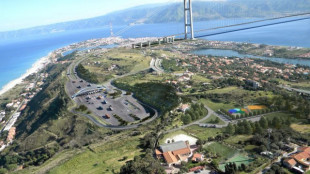 Ciucci, 'ponte sullo Stretto resister&agrave; a sisma e venti'