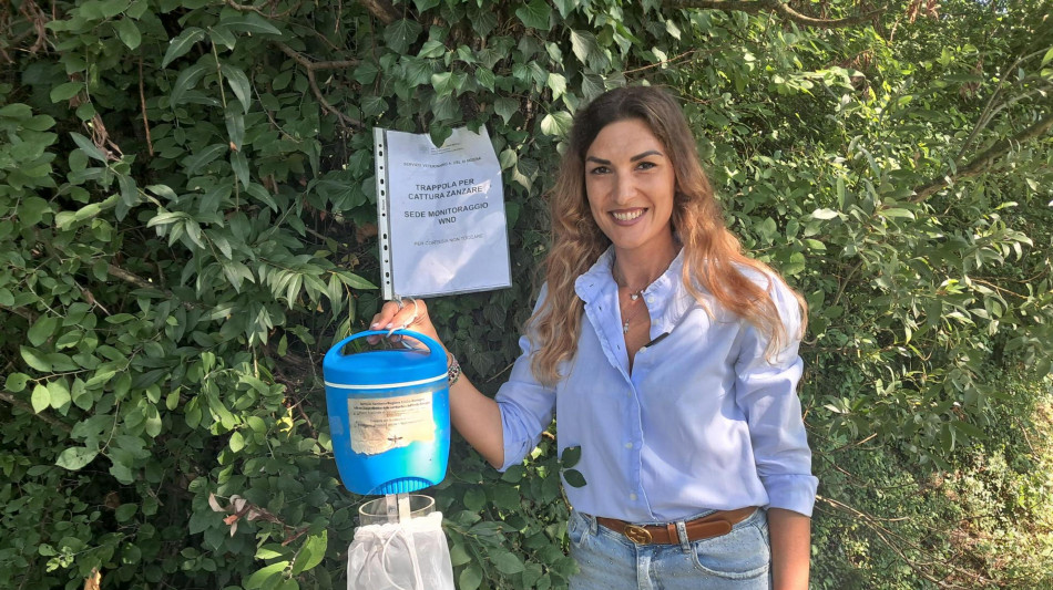 West Nile, a Modena posizionate dodici trappole per le zanzare