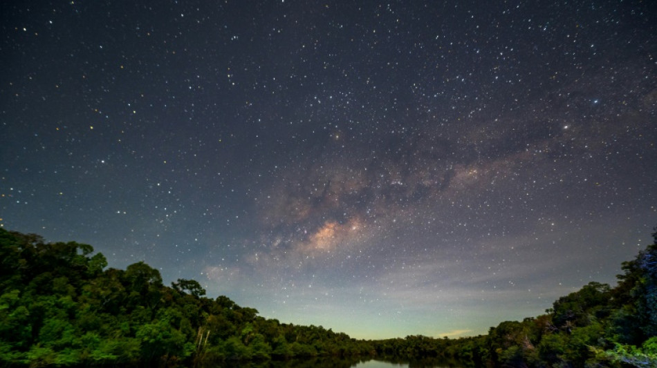 L'Amazonie, enjeu majeur de la pr&eacute;sidentielle au Br&eacute;sil