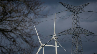 Electricité: la France à l'abri d'un risque de coupures cet hiver, la sobriété toujours de mise 