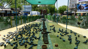 El cambio clim&aacute;tico multiplica por 30 el riesgo de olas de calor extremas en Asia