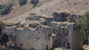 L&iacute;bano condena la destrucci&oacute;n "sistem&aacute;tica" llevada a cabo por Israel en el sur