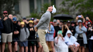 Banana skin 'double whammy' derails McIlroy at Australian Open