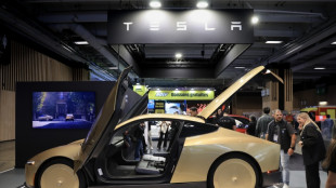 Tesla profits drop on tech spending spree as 'Elon Inc.' talk builds