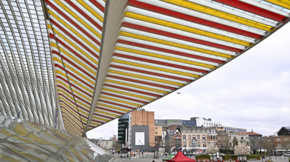 Streiks gegen Rentenreform st&ouml;ren Luftverkehr in Belgien