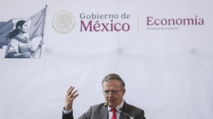 Messico: 'Il vertice del 20 luglio ridurr&agrave; le incertezze sull'Usmca'
