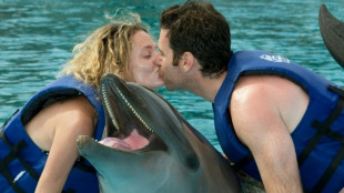 Mexiko beschlie&szlig;t Verbot von Delfinshows