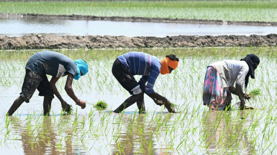 India braces for El Nino-linked dry conditions  