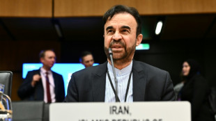 Ir&aacute;n someter&aacute; pronto su propia propuesta a EEUU sobre programa nuclear