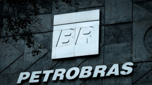 Petrobras tem forte queda do lucro l&iacute;quido em 2024