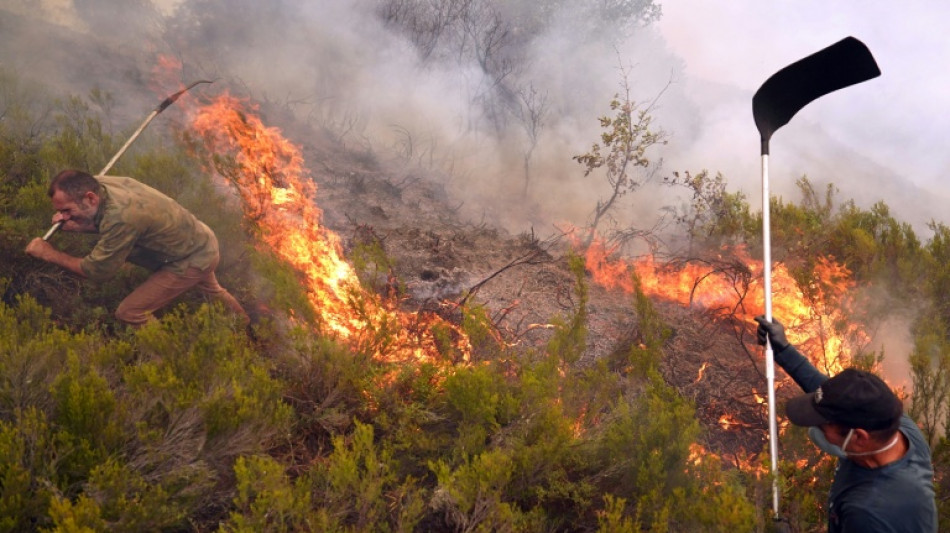 Das Schlimmste bei Waldbr&auml;nden in Spanien scheint &uuml;berstanden - Weiteres Todesopfer in Portugal
