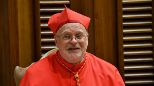 El cardenal sueco Arborelius considera "muy poco probable" que sea el pr&oacute;ximo papa