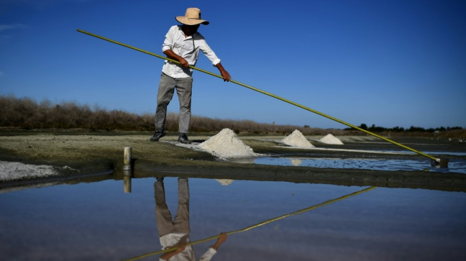 Sel: les producteurs de l'Atlantique mis &agrave; mal par le label bio